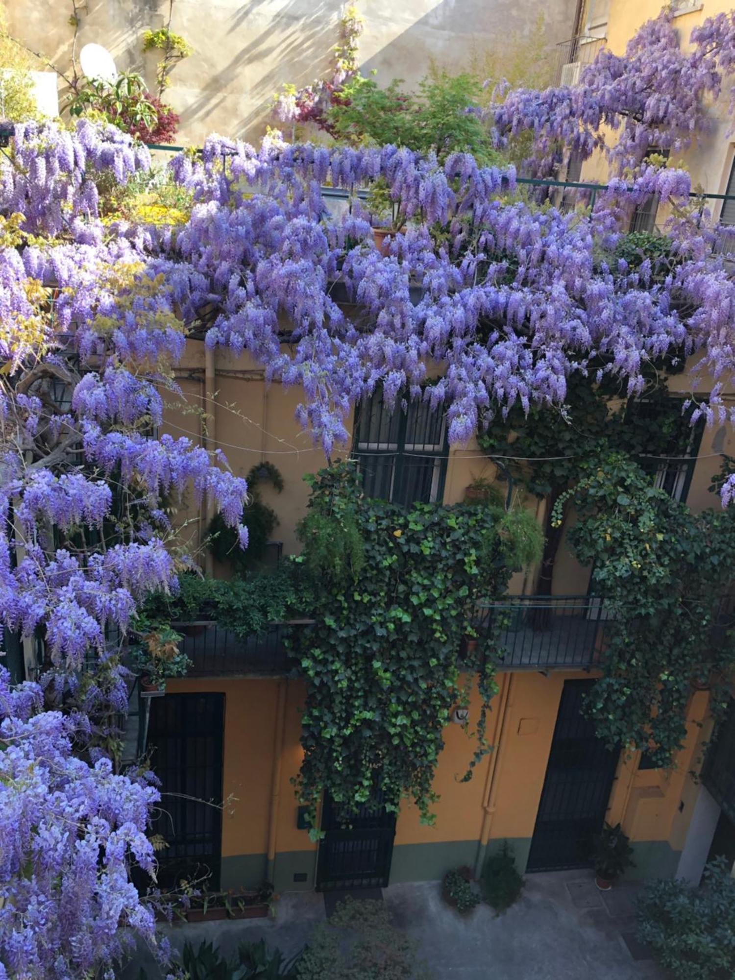 Apartmán La Casa Degli Angeli Turín Exteriér fotografie
