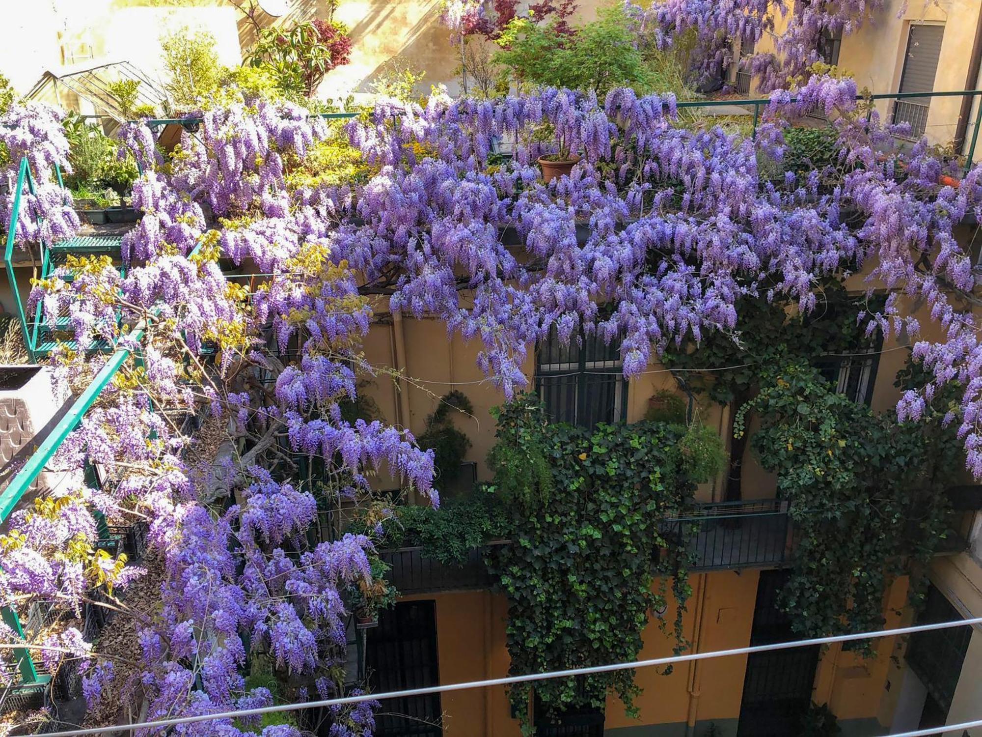 Apartmán La Casa Degli Angeli Turín Exteriér fotografie